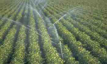 Agriculture Irrigation